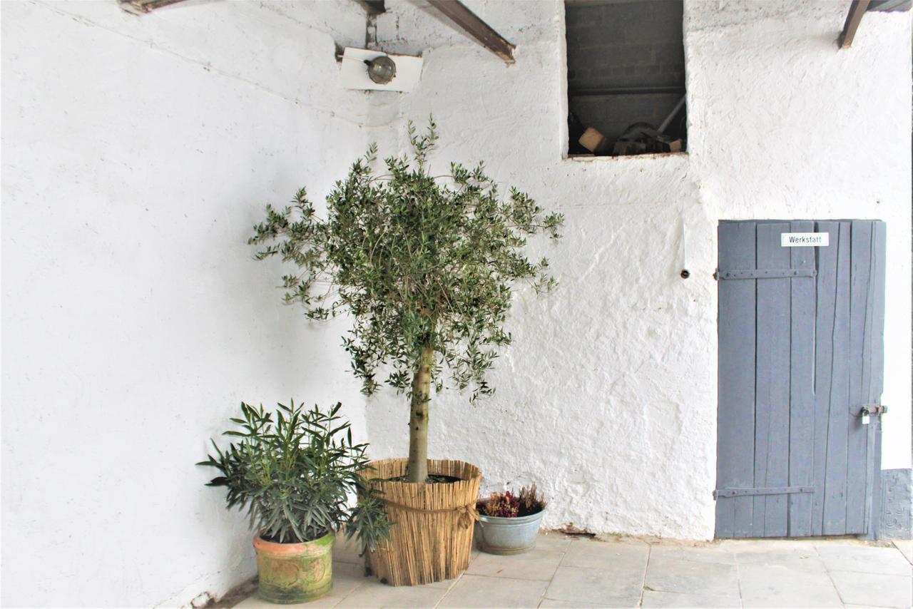 Bruchhausen  Wunderschoene Ferienwohnung מראה חיצוני תמונה